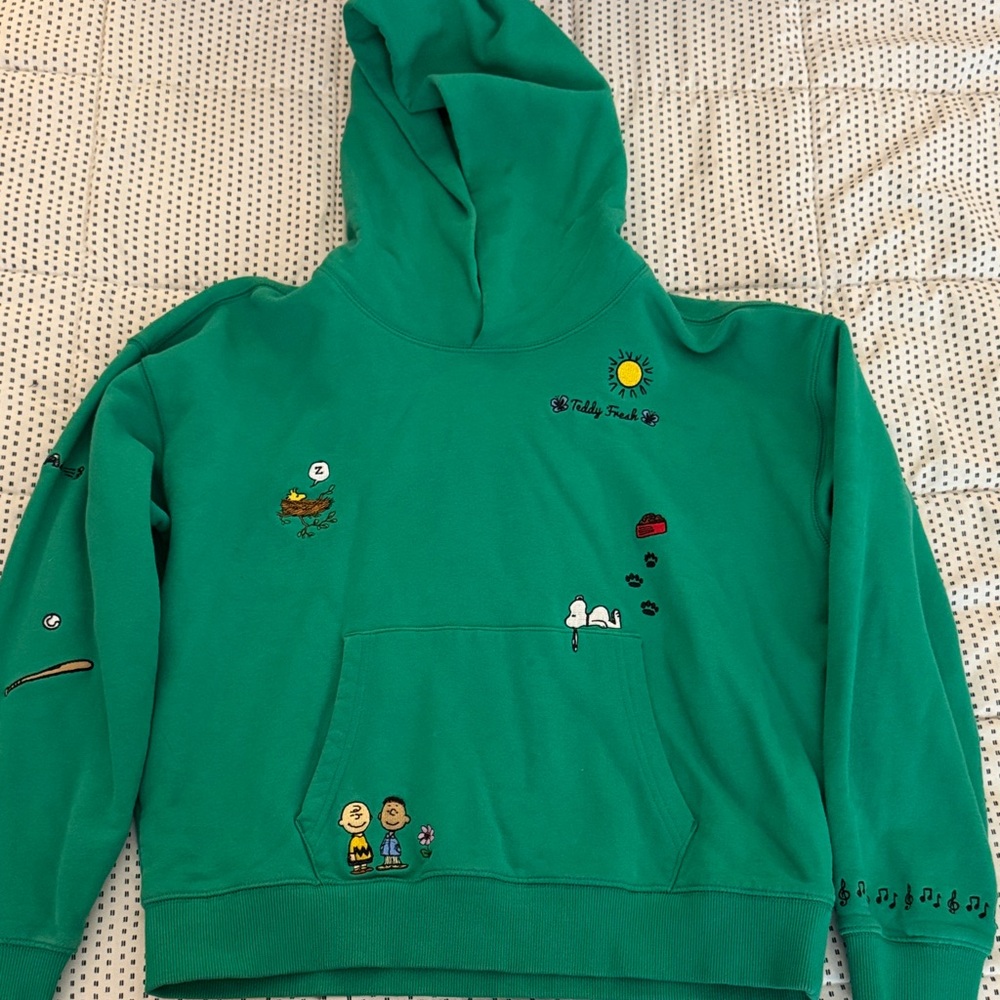 Teddy Fresh Teal Hoodie with Fun Embroidery